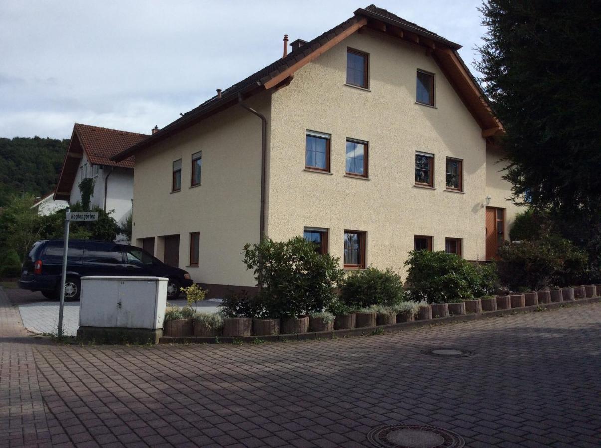 Mountain View Rooms Kindsbach Exterior photo